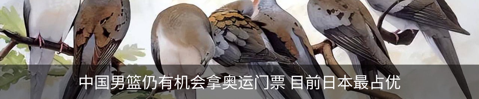 资讯动态