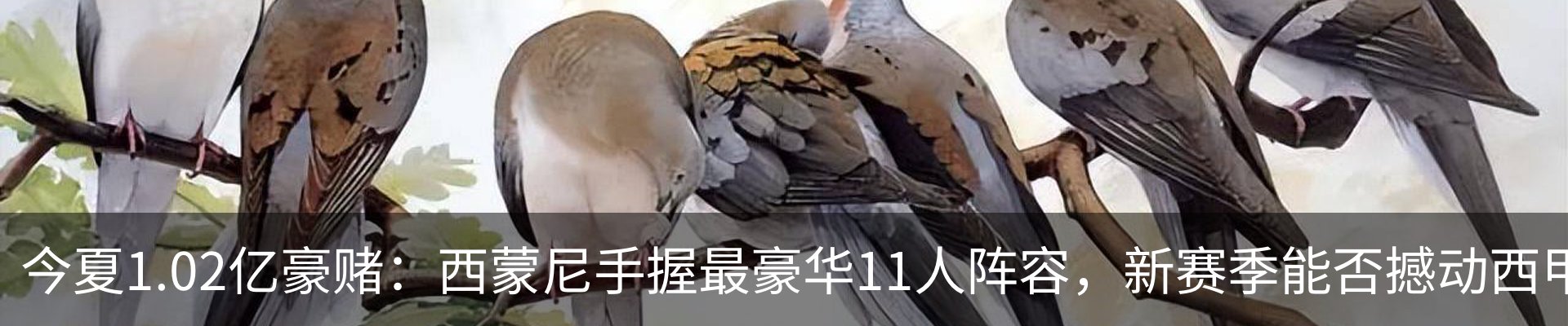 资讯动态
