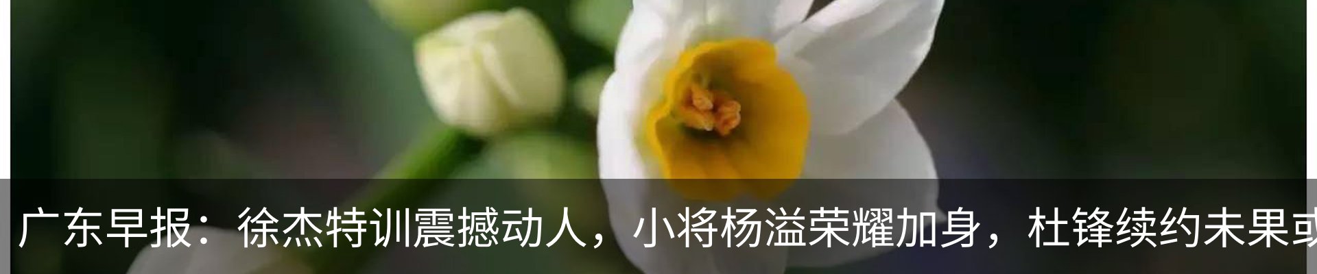 资讯动态