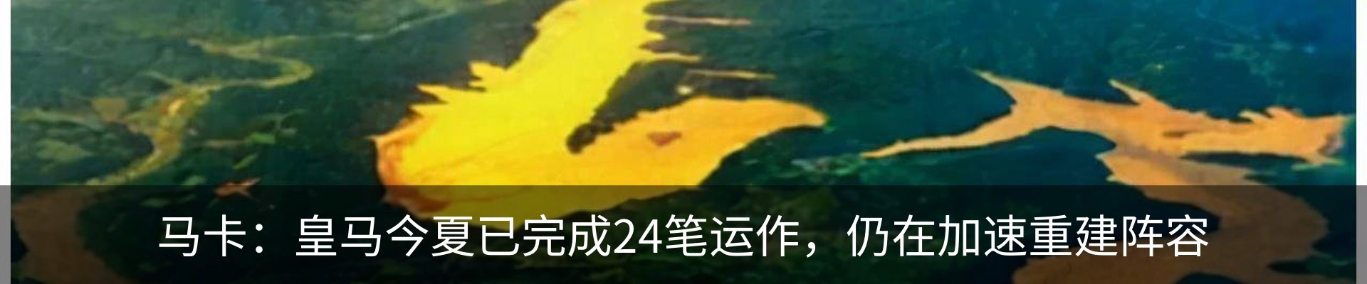 资讯动态