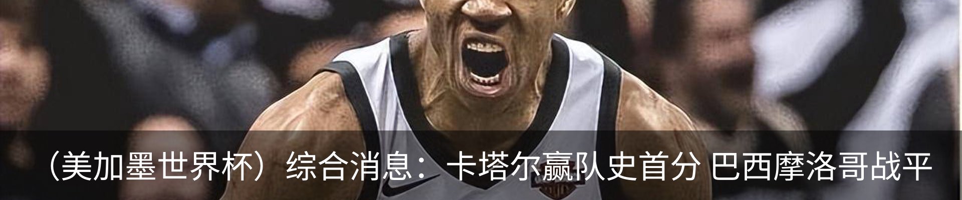 资讯动态